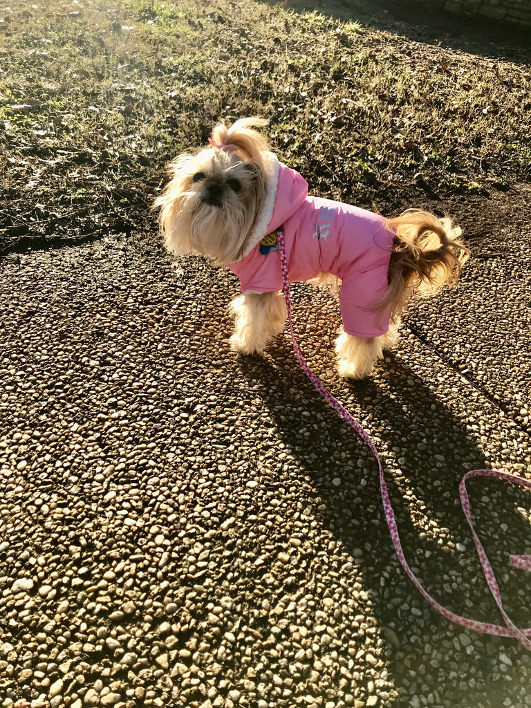 It’s only 30 degrees!