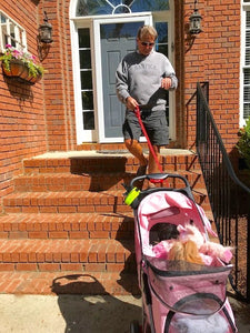 Daddy is driving my stroller!