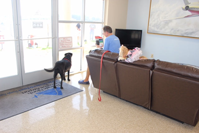 Waiting for another Pilot to bring us a plane load of rescue pups.
