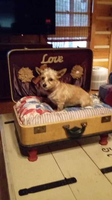 I LOVE this Bed!!!!