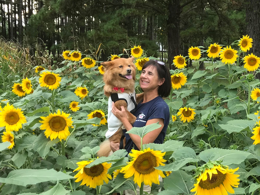 Meet Audra and Ginny Anne!