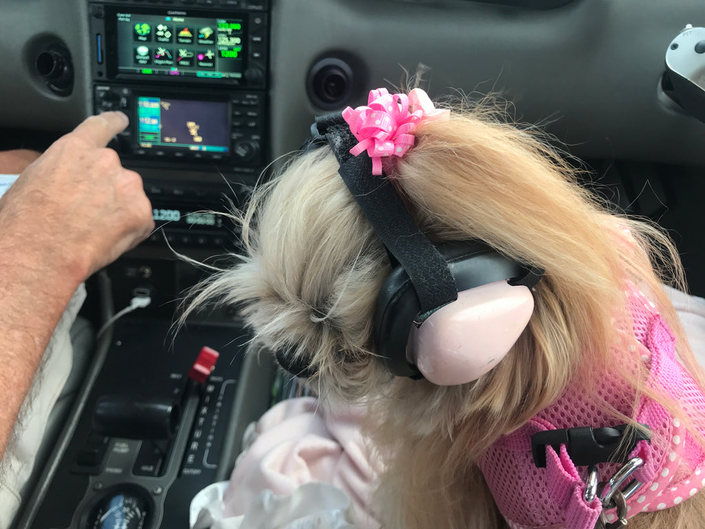 Meet a few of our passengers!