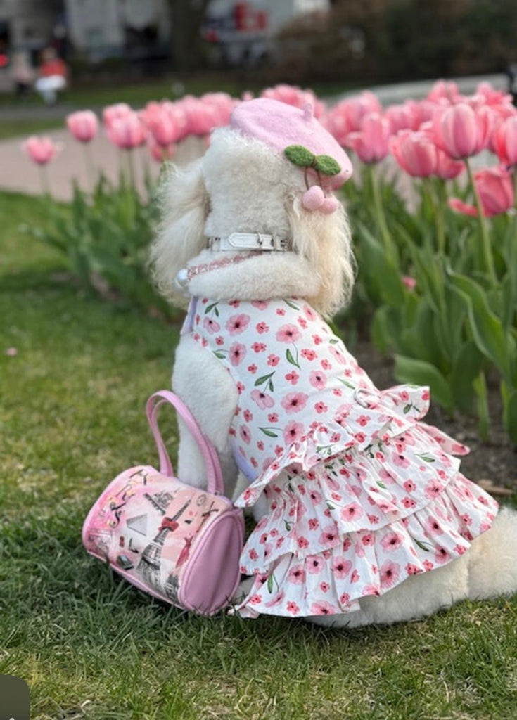 Gertie loves her new dress!