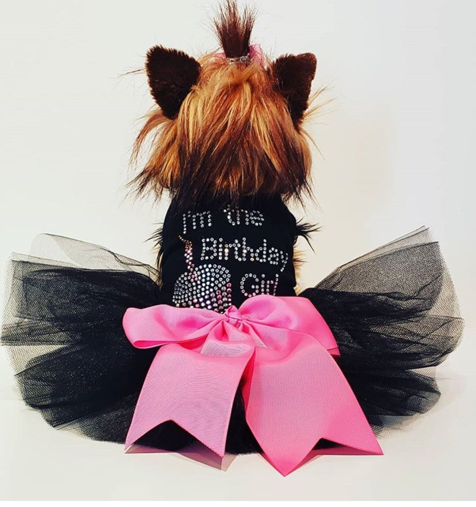 Birthday Girl Tutu!