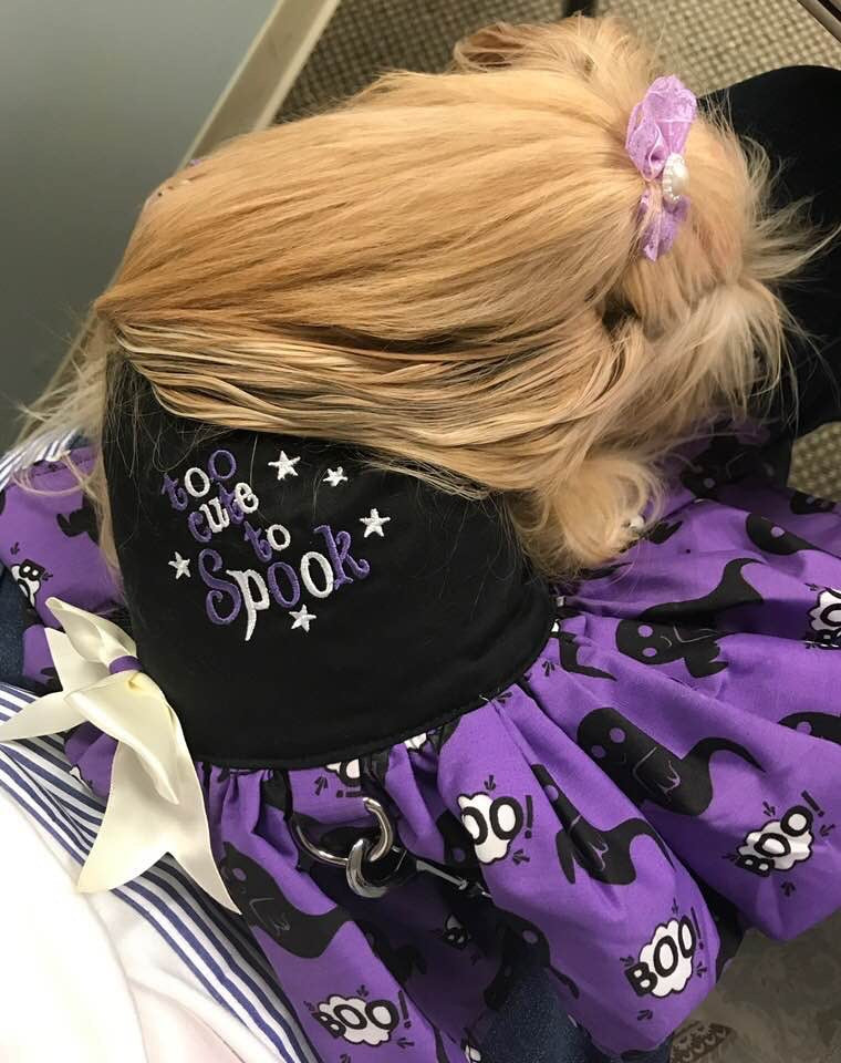 Too Cute to Spook!   #1 Seller this week!