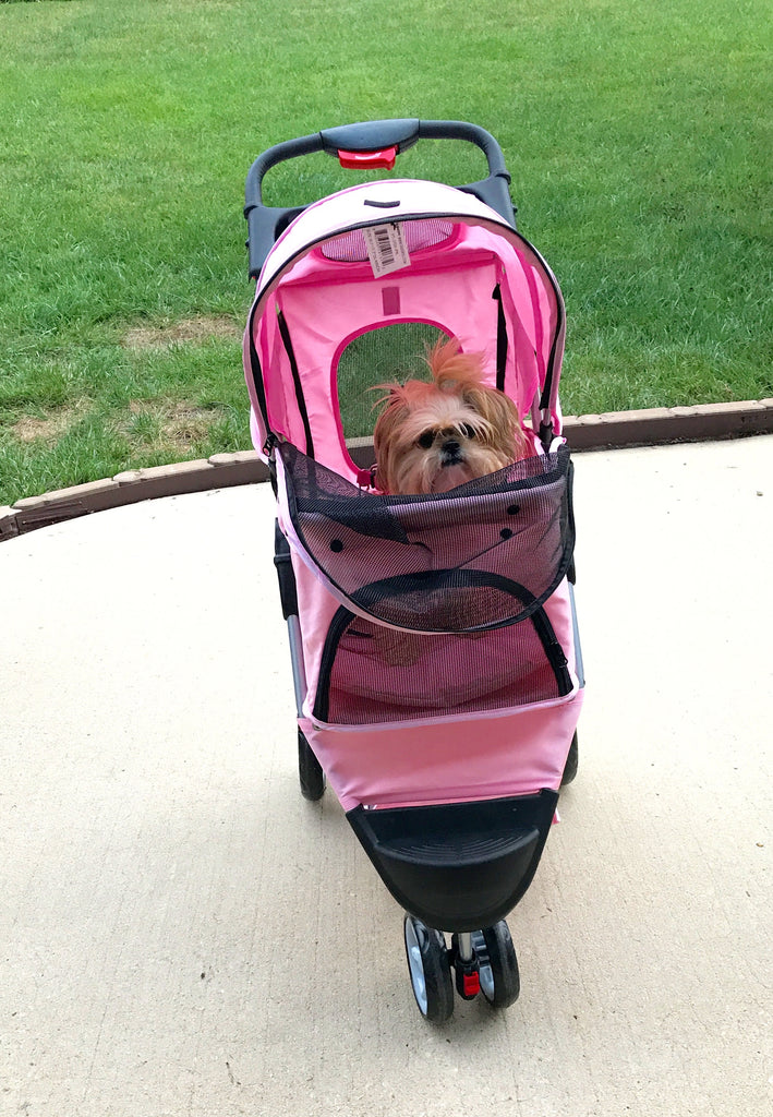 OMG!  I think my Dad is going to drive my stroller!