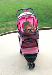 OMG!  I think my Dad is going to drive my stroller!