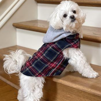 Beautiful Plaid Hoodies!