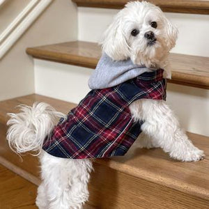 Beautiful Plaid Hoodies!