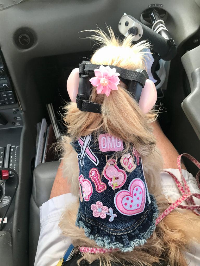 I’m headed to a doggie couture show!