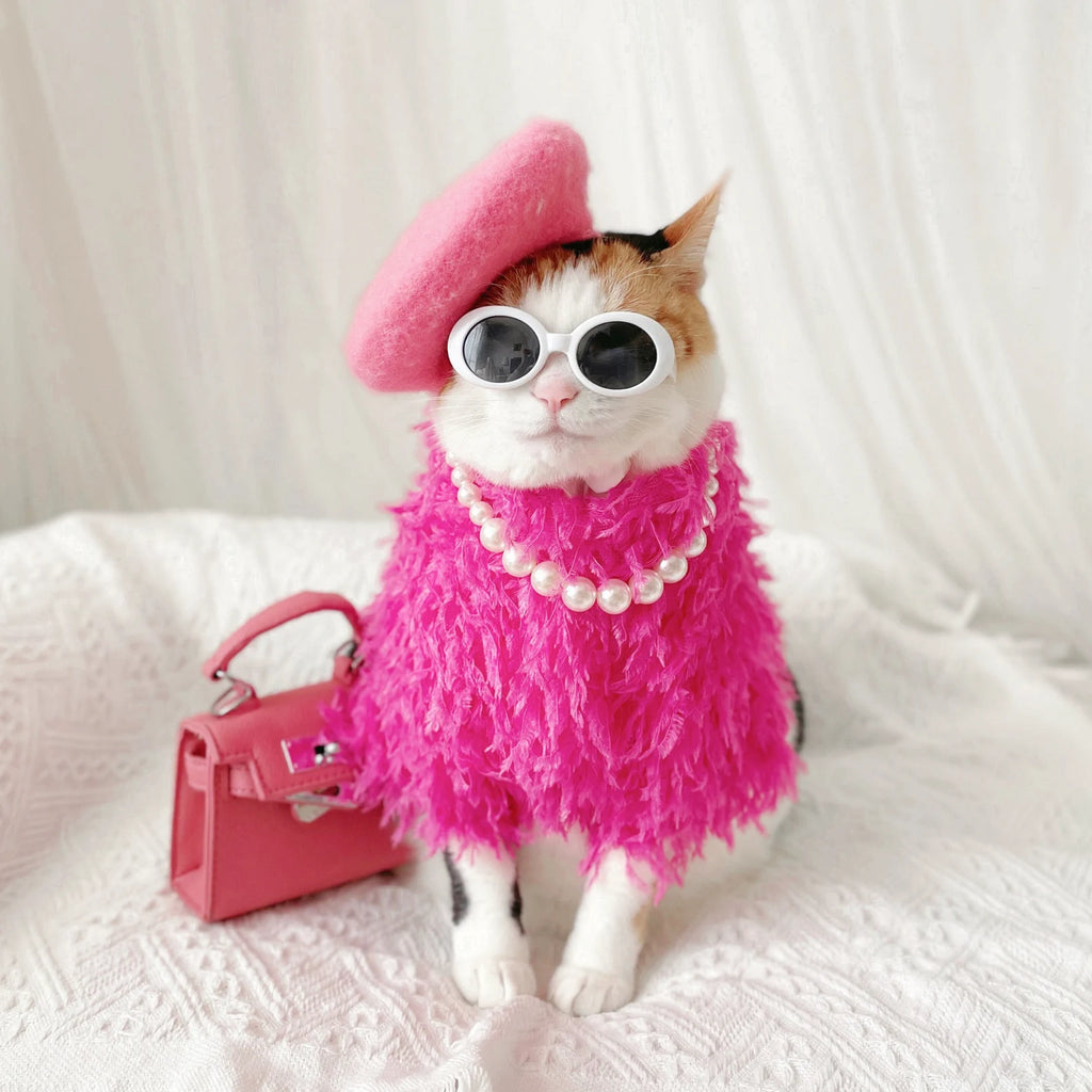 Cats love to visit our boutique!