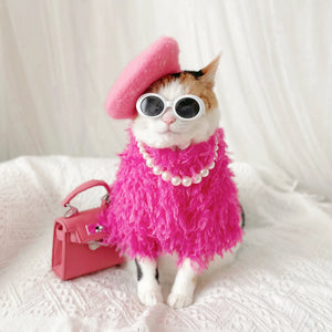 Cats love to visit our boutique!