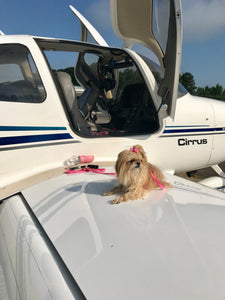 I'm sunning!