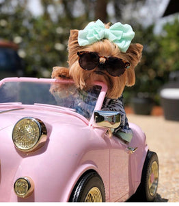 Too COOL!!!