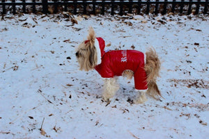 It’s SNOWING!