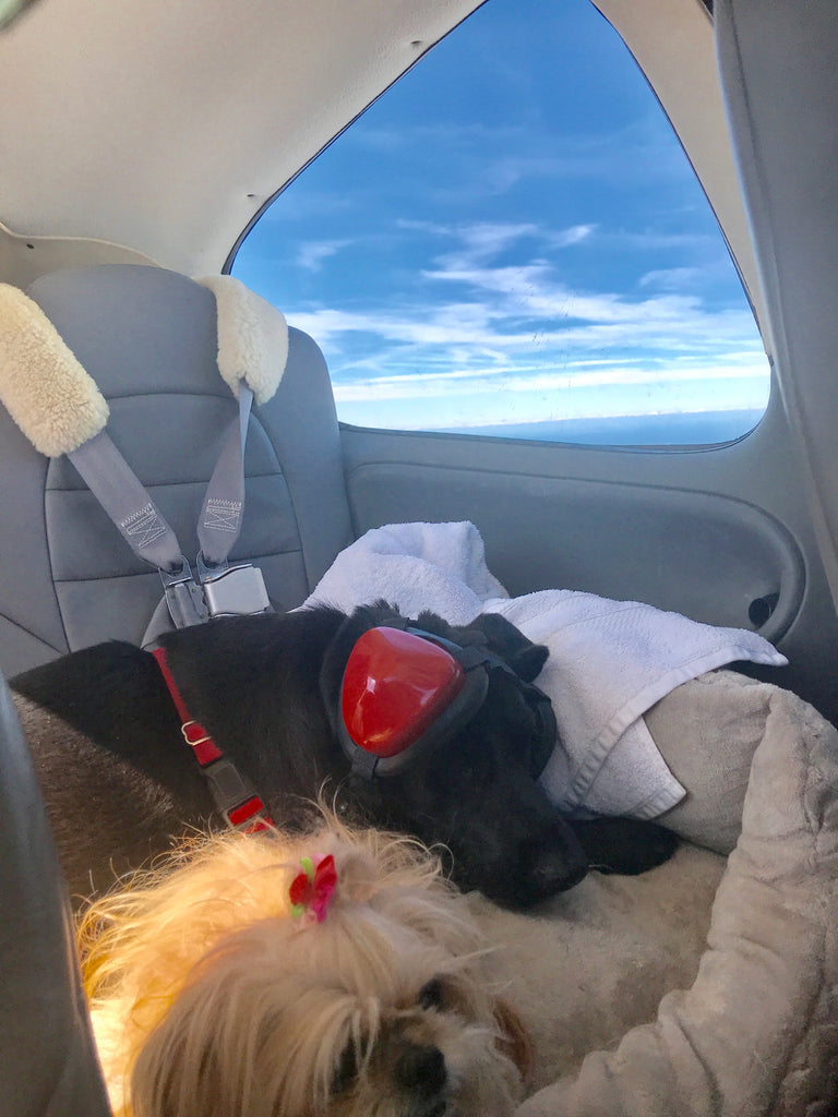Back to the skies!