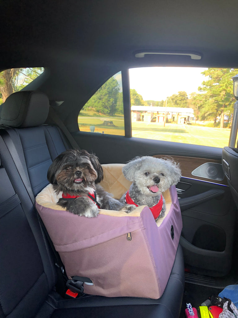 Macey & Nala Headed to Grandma's