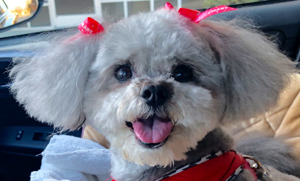 My best friend, Macey!