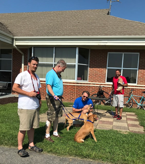Pilots N Paws Rescue in progress!