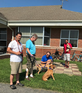 Pilots N Paws Rescue in progress!