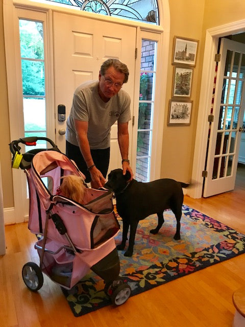 Scarlett and I are going "walking" with Daddy!