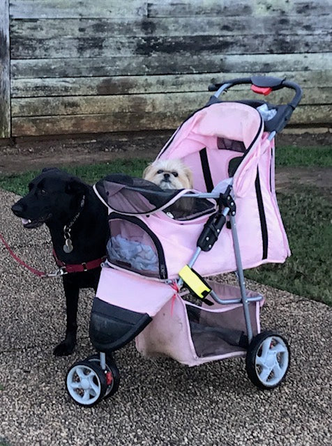We are ready for our stroll!