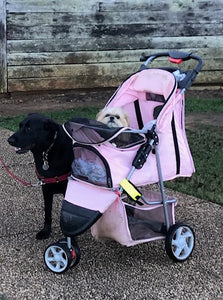 We are ready for our stroll!