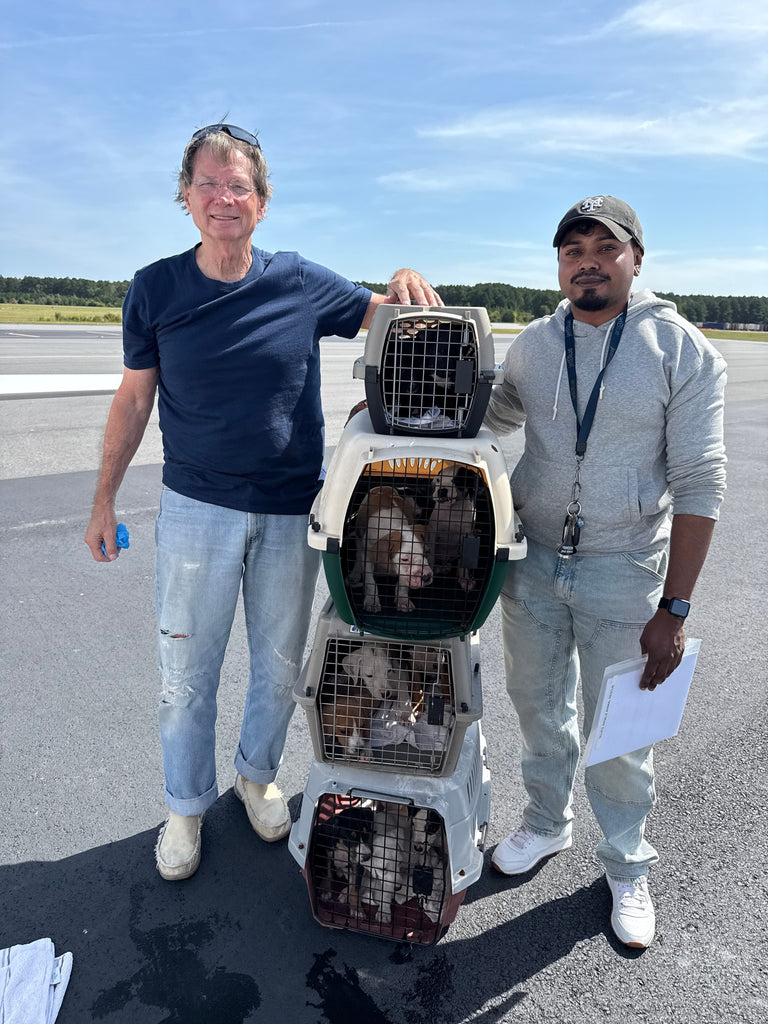 Big Rescue Flight Today