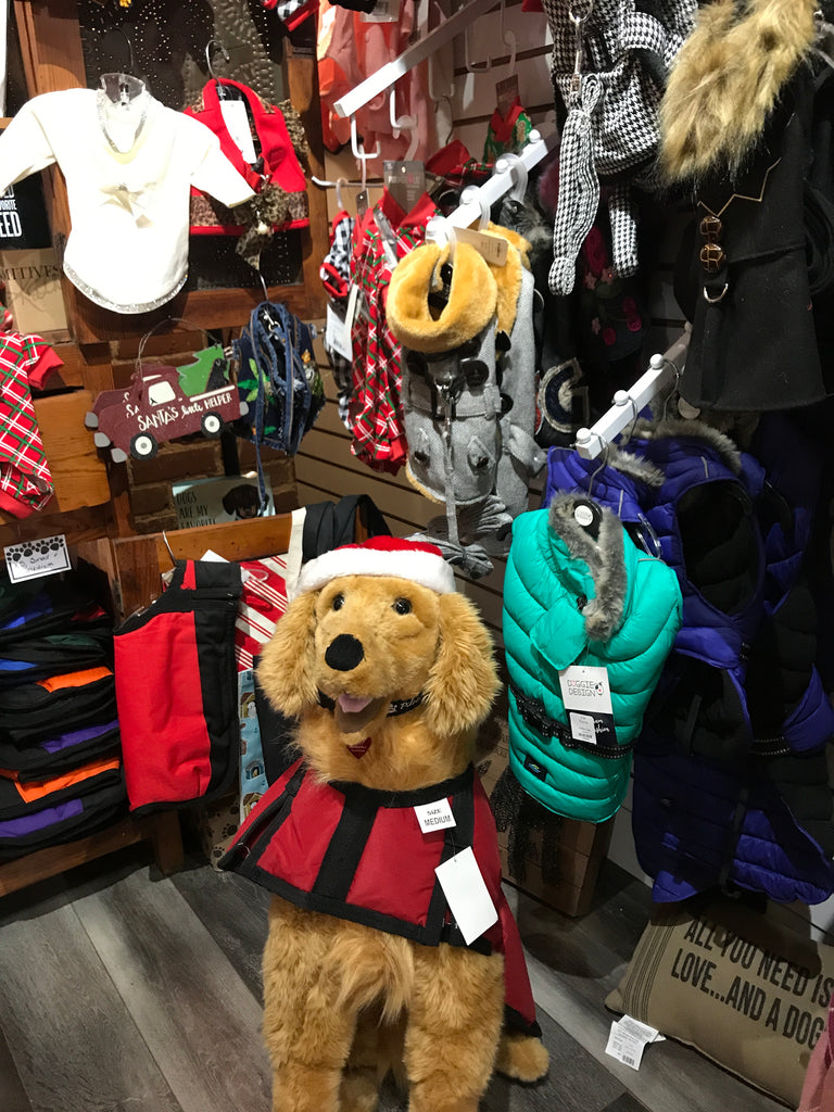 ZACH says!   Check out the water repellent CANVAS COATS in stock!