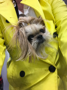 Shopping in the rain!