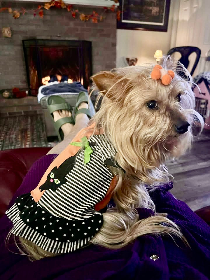 Ellie says " Happy Halloween" from Pennsylvania