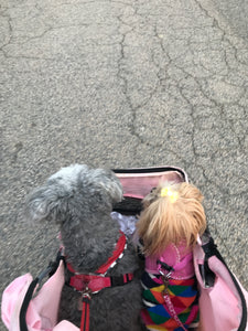 Scarlett & I miss Macey!!!