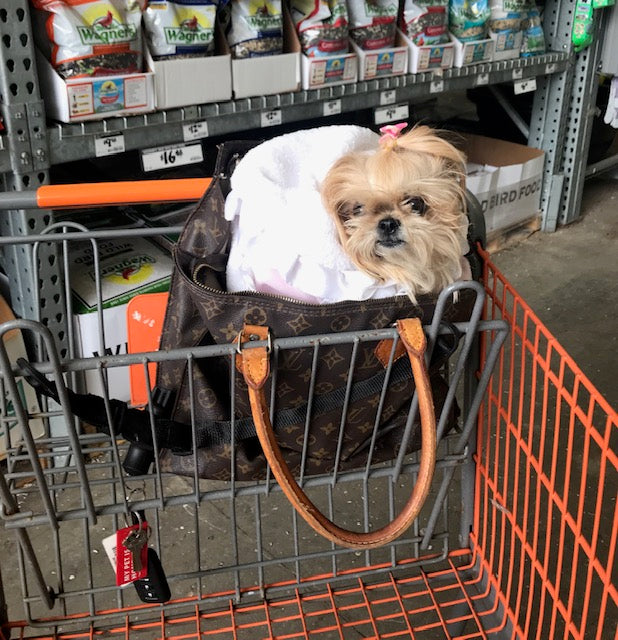 I'm a shopholic!