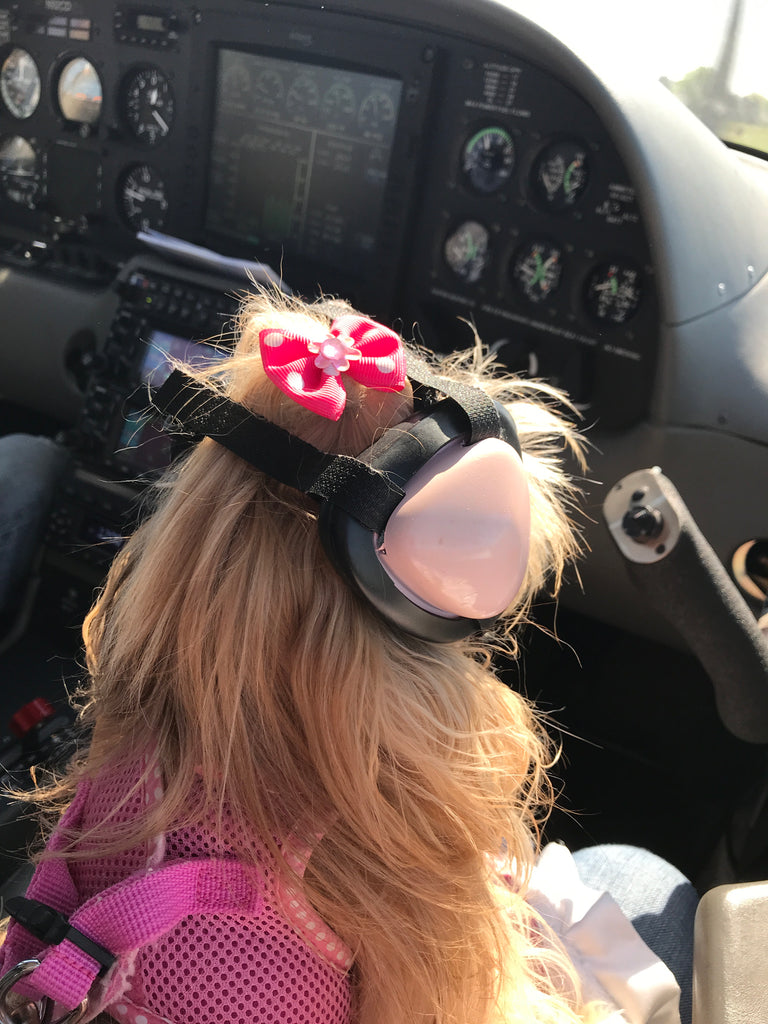 Call me FLY GIRL!!!