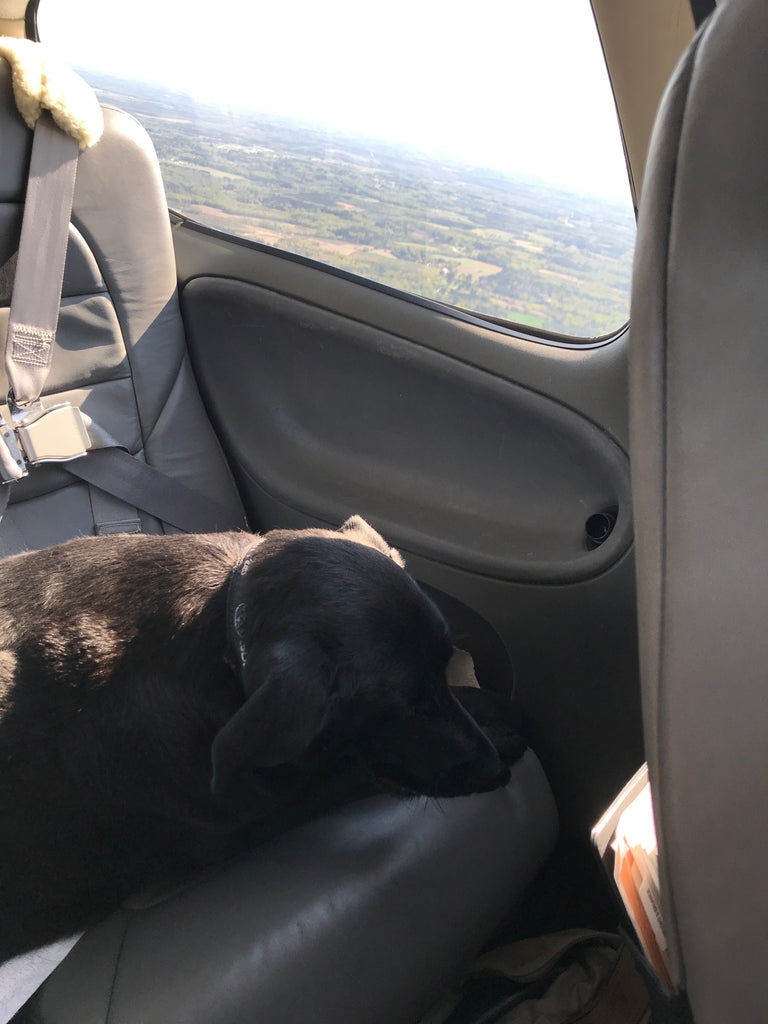 Scarlett is sleeping!