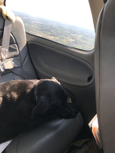 Scarlett is sleeping!