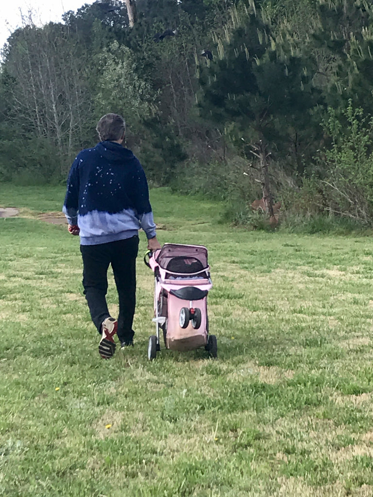 Daddy decided to take a short cut!!!!  With my stroller!!!
