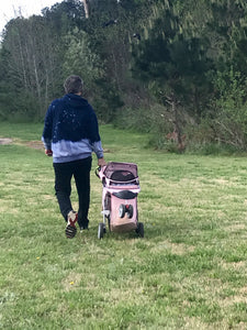 Daddy decided to take a short cut!!!!  With my stroller!!!