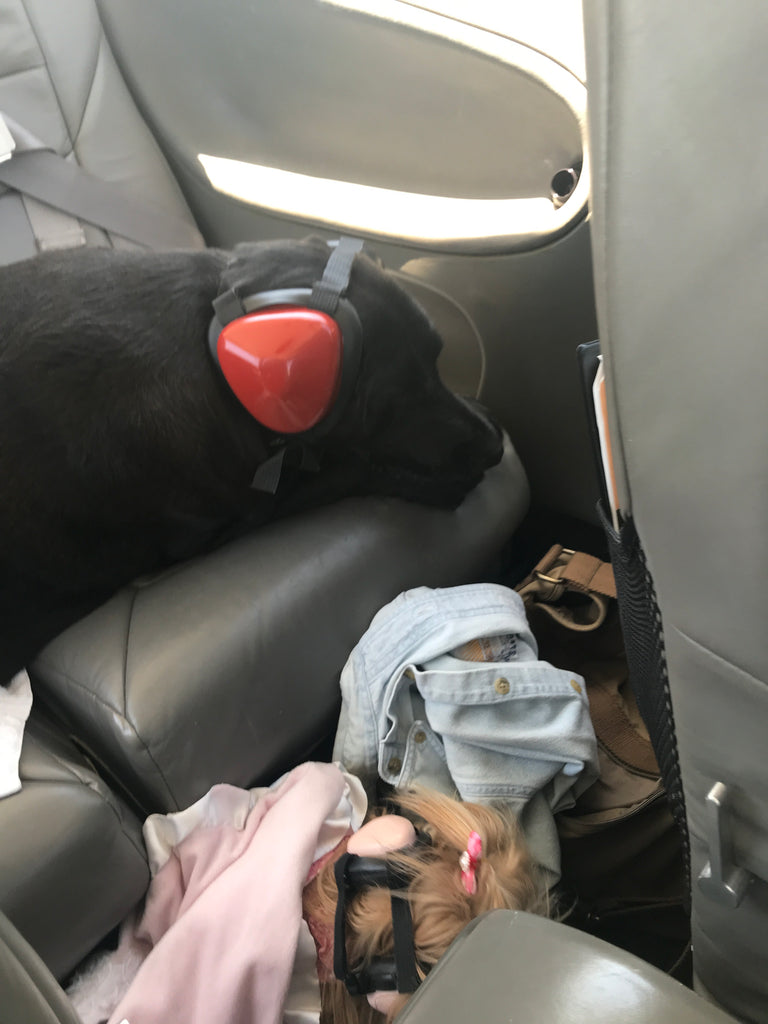 Scarlett is taking up the entire 2nd row in the airplane!!!!!