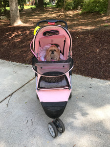 I'm ready to go!!!!