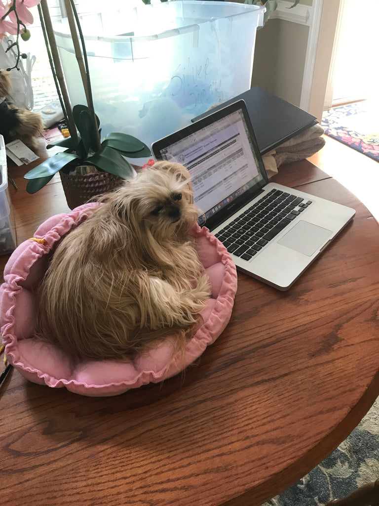 I'm helping Mom work!