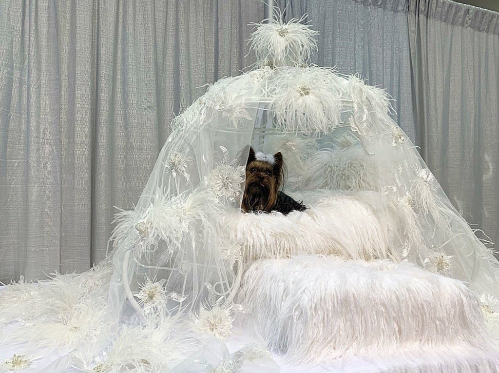 Check out this MADONNA BED!