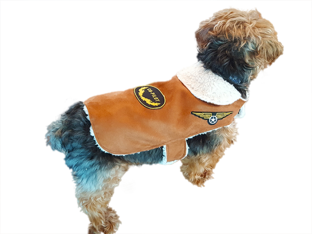 Doggie Co-Pilot JACKETS coming soon!