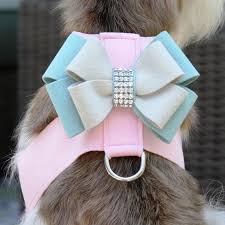 Cute Ultra Suede Harnesses are coming for Fall!