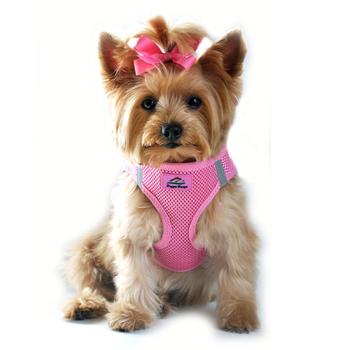 Pink Harnesses are here!