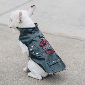 Fur Babies LOVE Biker DAWG Jackets