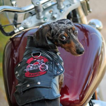 Motorcycle Jackets are here!!!!