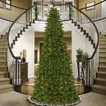 Time to Decorate this Tree!