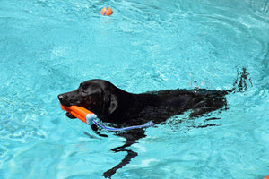 Scarlett loves to swim!!!