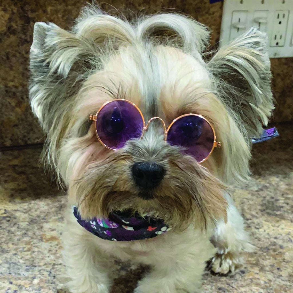 SUNGLASSES are a MUST!!!!